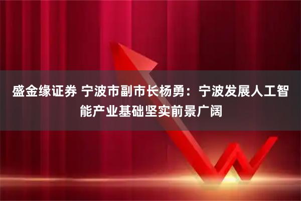 盛金缘证券 宁波市副市长杨勇：宁波发展人工智能产业基础坚实前景广阔