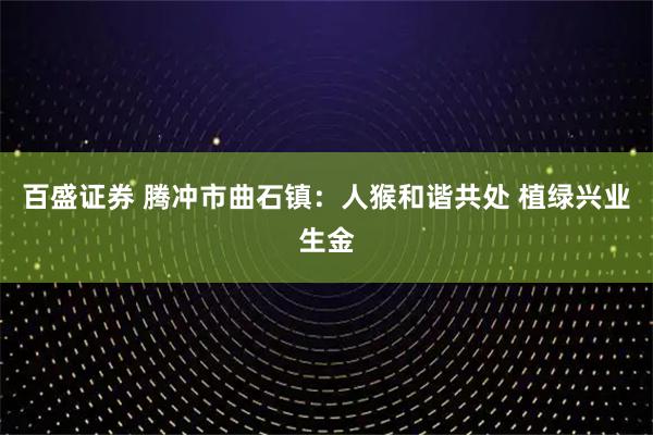 百盛证券 腾冲市曲石镇：人猴和谐共处 植绿兴业生金