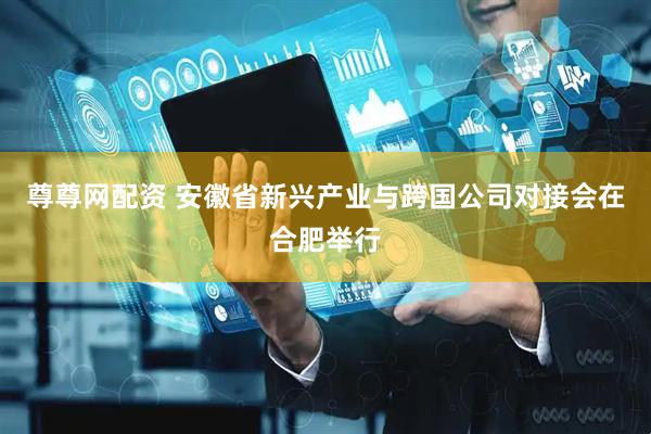 尊尊网配资 安徽省新兴产业与跨国公司对接会在合肥举行