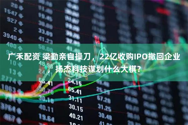 广禾配资 梁勤亲自操刀，22亿收购IPO撤回企业，扬杰科技谋划什么大棋？
