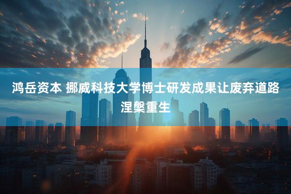 鸿岳资本 挪威科技大学博士研发成果让废弃道路涅槃重生