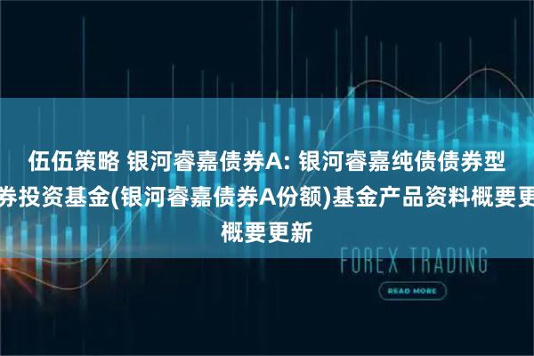 伍伍策略 银河睿嘉债券A: 银河睿嘉纯债债券型证券投资基金(银河睿嘉债券A份额)基金产品资料概要更新